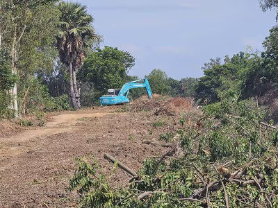 ภาพแกลลอรี่ 13