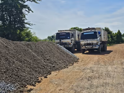 ภาพแกลลอรี่ 10